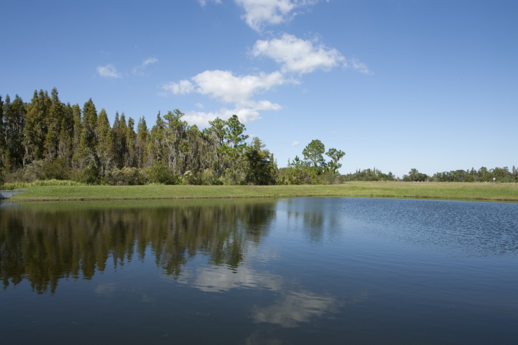 Florida Lake_Lennar