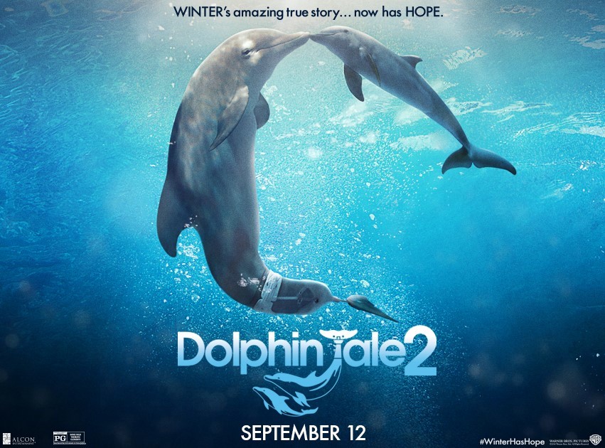 Dolphin Tale 2 2 Music Monday: Dolphin Tale 2    Gavin DeGraw You Got Me and Giveaway
