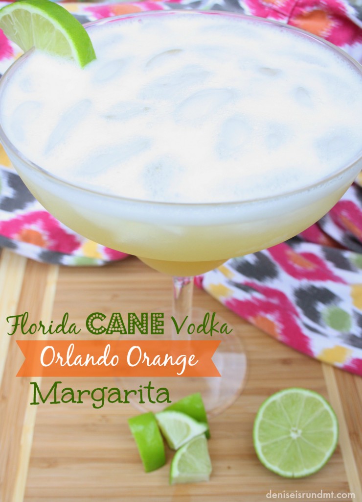 Florida Cane Orlando Orange Vodka Margarita - Run DMT