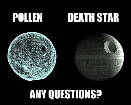 death star - pollen