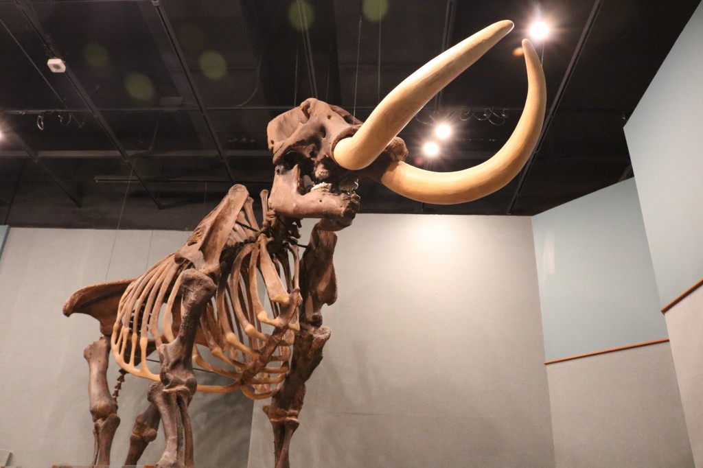 giant-mastadon Museum of Florida History 