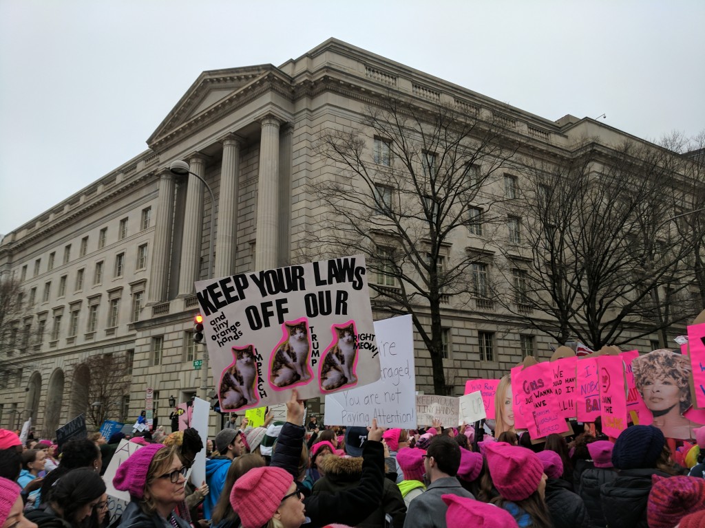 Women's March DC - 17