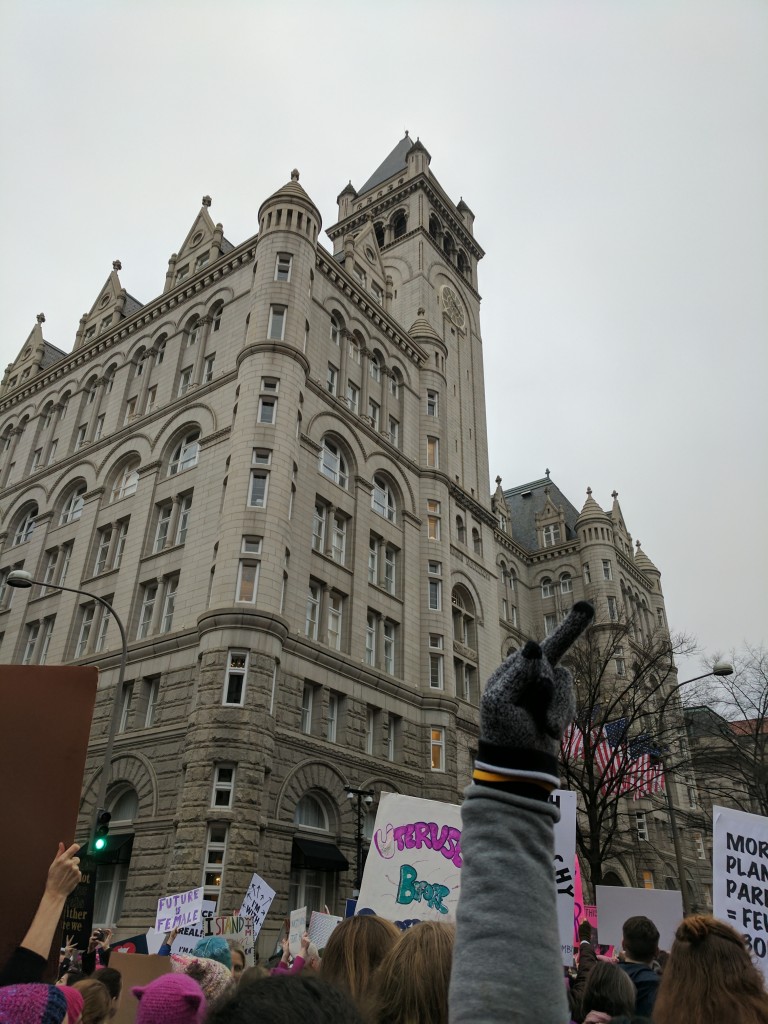 Women's March DC - 19