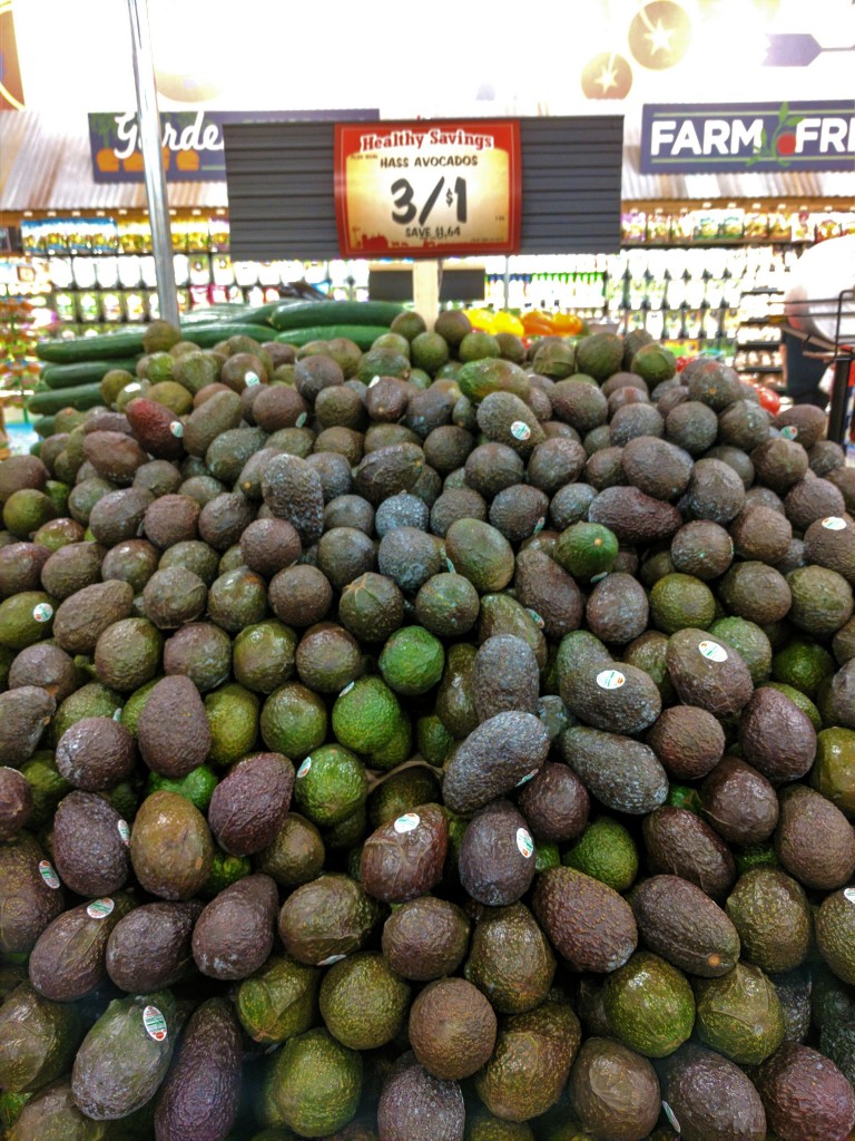 Sprouts - Avocados