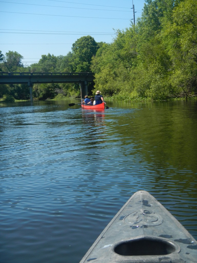 Canoe - Hillsborough River - Mother's Day 2016