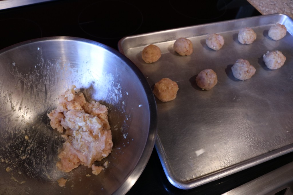 Ground Turkey Meatball mix