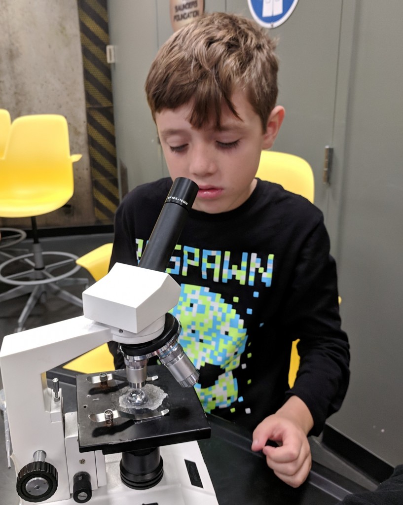 Observing plankton under a microscope at a Florida Aquarium lab experience made our red tide and ocean study more meaningful.