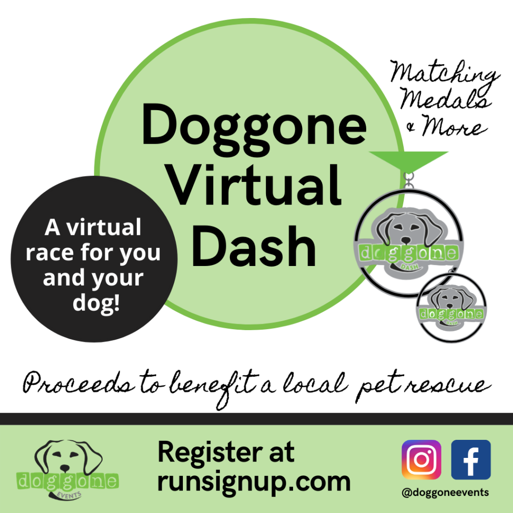 Doggone Dash 