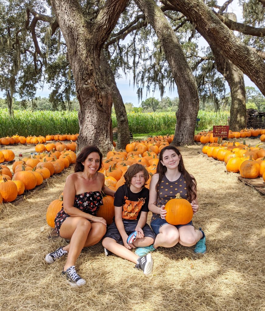 Sweetfield Pumpkin Patch